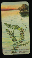 Côte D'Or - Botanica - 1954 - 15 - Elodes, Peste Des Eaux, Waterpest - Côte D'Or