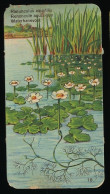 Côte D'Or - Botanica - 1954 - 18 - Ranunculus, Renoncule, Waterhanevoet - Côte D'Or