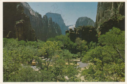 CARTOLINA  UTAH,STATI UNITI-TEMPLE OF SINAWAVA-ZION NATIONAL PARK-VIAGGIATA 1988 - Bryce Canyon