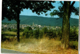 Herbeumont Sur Semois , Panorama - Herbeumont