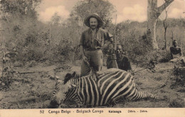 CONGO BELGE - Katanga - Zèbre - Carte Postale Ancienne - Belgian Congo