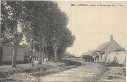 D 45. ARTENAY. PROMENADE DE LA LUNE.  CARTE ECRITE - Artenay