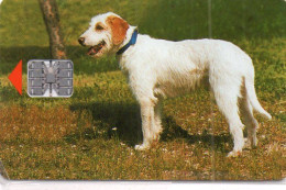CROATIA - CHIP CARD - ANIMAL - DOG - ISTRIAN SHARP-HAIRED HOUND - MINT IN BLISTER - Croatie