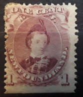 TERRE NEUVE NEWFOUNDLAND 1866 , Yvert 20 , 1 C Violet Brun Prince De Galles  , Neuf * MH TB - 1865-1902