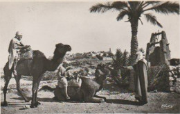 GHARDAIA -   M' ZAB   ( ALGÉRE  )  PLACE  DUMARCHÉ   &   LA  HALLE  AU  PUITS       2   C P S M   ( 23 / 9 / 76  ) - Ghardaïa