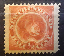 TERRE NEUVE NEWFOUNDLAND 1880 , Yvert 39 , Chien Dog ,  1/2  C Rouge Neuf * MH   TB - 1865-1902