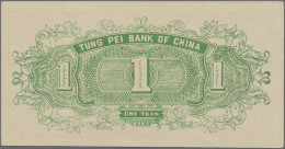 China: TUNG PEI BANK OF CHINA / BANK OF DUNG BAI, Lot With 5 Banknotes, Series 1 - Chine
