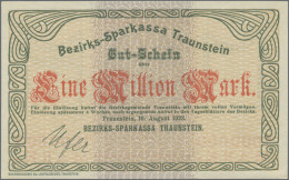 Deutschland - Notgeld - Bayern: Traunstein, Stadt, 10 Kleingeldscheine, 8 Großge - Lokale Ausgaben
