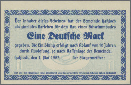 Deutschland - Notgeld - Pfalz: Lot Von 28 Scheinen Unterschiedlicher Ausgabestel - [11] Emissions Locales