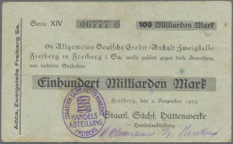 Deutschland - Notgeld - Sachsen: Freiberg, Staatl. Sächs. Hüttenwerke, 100 Mrd. - [11] Local Banknote Issues