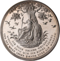 Medaillen Deutschland - Geographisch: Hamburg: Silbermedaille 1803, Von J. V. Dö - Other & Unclassified