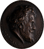Medaillen Deutschland - Geographisch: Lindau: Ovale Bronzegussmedaille 1920, Sig - Otros & Sin Clasificación