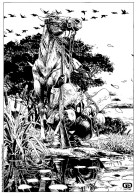 KORDEY  -  Ex-libris "Marshal Bass, Tome 7"  (EB) - Illustrateurs J - L