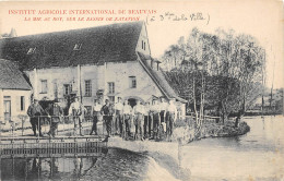 60-BEAUVAIS- INSTITUT AGRICOLE INTERNATIONAL DE BEAUVAIS , LA MIE AU ROY SUR LE BASSIN DE NATATION - Beauvais