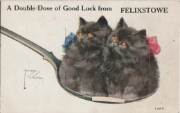 PULL OUT - A DOUBLE DOSE OF GOOD LUCK - CATS / SPOON - FELIXSTOWE - A Systèmes