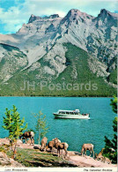 Canadian Rockies - Cruise Of The Devil's Cap On Beautiful Lake Minnewanka - Boat - FC 502 - Canada - Unused - Jasper