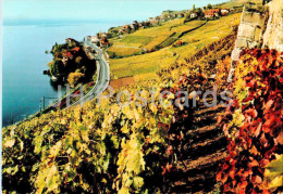 Rivaz - Lac Leman - Vineyard - 9228 - Switzerland - Unused - Rivaz