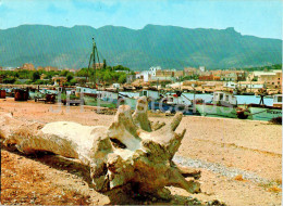 San Carlos De La Rapita - Vista Parcial Puerto Y Ciudad - View Of Port And City - Port - Boat - 1101 - Spain - Used - Tarragona