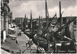 CPA Carte Postale Italie Chioggia Canale S. Domenica Bragazzi 1952 VM71695ok - Chioggia