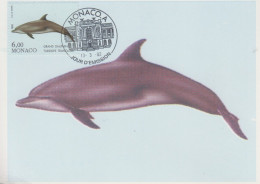 Carte  Maximum   1er   Jour    MONACO     Grand  Dauphin   1992 - Delfines