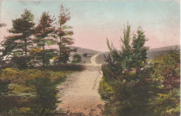 HINDHEAD - A MOORLAND PATHWAY - SURREY - Surrey