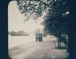 Angleterre - LONDRES - LONDON - Plaque De Verre Ancienne (vers 1905) - HYDE PARK - Royal Guards - Hyde Park