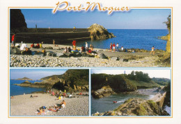 280   Carte Postale  Cote D'Armor 22   Plouha  Entre Saint Brieuc Et Paimpol  Port Moguer - Plouha
