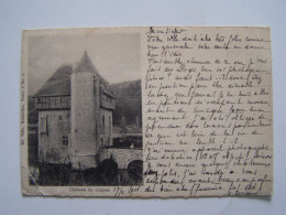 ASSESSE. BELGIQUE.  CHATEAU DU CRUPET.  100_1868COL23 - Assesse