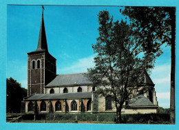 * Neeroeteren - Maaseik (Limburg) * (JB, Nr 246/2) Sint Lambertuskerk, église, Church, Kirche - Maaseik