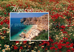 73071388 Algarve Praia Da Marinha Algarve - Sonstige & Ohne Zuordnung