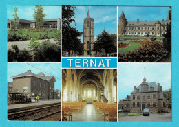 * Ternat (Vlaams Brabant) * (JB, Nr 440/1) Groeten Uit Ternat, Bonjour De Ternat, Gare, Station, Chateau, église - Ternat