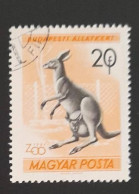 SD)1961. HUNGARY. KANGAROO. USED - Lotes & Colecciones