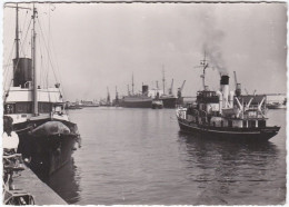 Remorqueur Le De Havre De Grasse Dans Le Port Du Havre - Remorqueurs