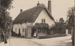 POST OFFICE - WEST LAVINGTON - REAL PHOTOGRAPH - Salisbury