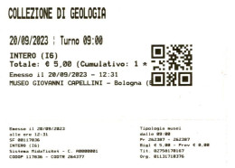 *BIGLIETTO INGRESSO COLLEZIONE DI GEOLOGIA MUSEO CAPELLINI BOLOGNA 2023 - Tickets - Entradas