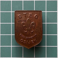 Badge Pin ZN012981 - Scouting Skauti Izvidjaci Yugoslavia Hrvatska Croatia Osijek Eszek Essegg Steg - Associations
