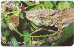 Cuba - Etecsa (Chip) - Reptiles - Chameleon, 05.2000, 10$, 30.000ex, Used - Cuba