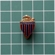 Badge Pin ZN012984 - Football Soccer Calcio Italy Arsenaltaranto - Football