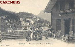 FINS-HAUTS VUE DEPUIS LA PENSION DU GLACIER SUISSE  - Sion