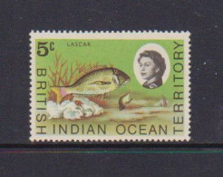 BRITISH  INDIAN  OCEAN  TERRITORY     1968    Marine  Life    5c  Multicoloured    MH - British Indian Ocean Territory (BIOT)