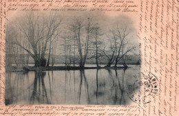 19388  Pointe De L' Île à PORT SUR SAONE  ( 2 Scans) 70 - Port-sur-Saône