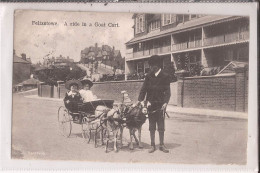 Angleterre Suffolk Felixstowe A Ride In  Ziege Goat Cart Attelage Chevre Postee D'avallon - Andere & Zonder Classificatie