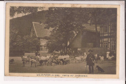 Allemagne Wildemann Im Harz. Partie Mit Ziegenherde Dog Chien Moutons Cor Ziege Goat Chevre - Goslar