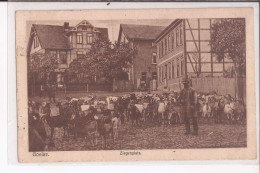 Allemagne Goslar Ziegenplatz Ziege Goat Chevre - Goslar