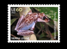 SIERRA LEONE 2023 STAMP 1V - POISONOUS TOXIC VENOMOUS - FROG FROGS GRENOUILLE GRENOUILLES - MNH - Rane