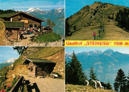 73091801 Dorf Tirol Gasthof Steinegg Mutspitze Meraner Hoehenweg Ifinger Firenze - Other & Unclassified