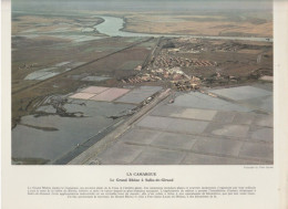 Photo  -  Reproduction - Le Grand Rhône à Sali De Giraud - Europa