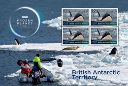 British Antarctic 2023 Frozen Planet BBC - Feuillet Orques (valeurs 0.80) - Ongebruikt