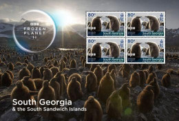 South Georgia Antarctic 2023 Frozen Planet BBC - Feuillet Manchot Royal - Penguins (valeurs 0.80) - Ongebruikt