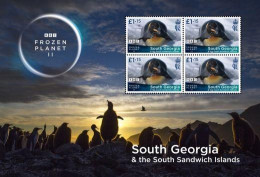 South Georgia Antarctic 2023 Frozen Planet BBC - Feuillet Manchot Royal - Penguins (valeurs 1.15) - Ongebruikt